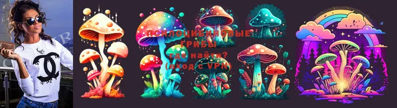 shop формула  как найти наркотики  Белоозёрский  Псилоцибиновые грибы Psilocybe 